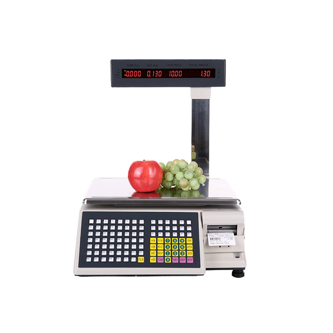 Scangle TS200 Electronic weight scale (en inglés)